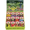 Wetsel 200pkt Wildflower Small Counter Display