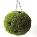 SuperMoss 12" Woven Moss Ball Planter