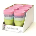 Artstone 24pc 5" Cache Pot Bright Color Pack