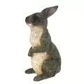 MCarr Peter Rabbit Gray