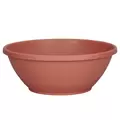 DLN 12.00 COLOR BOWL CL 42/CS 48CS/PL