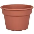 DLN 08.00 COLOR POT TL CL 58/CS 60CS/PL