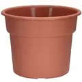 DLN 12.00 COLOR POT 2 TL CL 40/CS 32CS/PL