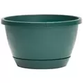 DLN 10.00 TRAD 2 WS HB NO HGR 300GN 50/CS 36CS/PL