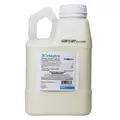 BASF Orkestra Intrinsic 80oz AGENCY (4/Cs) LTD QTY ( fluxapyroxad + pyraclostrobin )