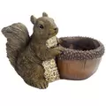 MCarr Squirrel Planter