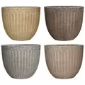 MCarr 32pc Rattan Egg Planter Pallet Mixed Colors