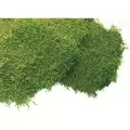 SuperMoss 1560cu in Bulk Sheet Moss Fresh Green (Covers 16-18sq ft)