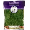 SuperMoss 2oz Sheet Moss Fresh Green