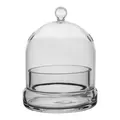 SSI 4 3/4" x 6" Terrarium Cloche