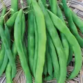 Beans, White Half Runner - 1/2lb