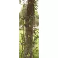 Panacea 72"x10" Semi Round Art & Crafts Trellis Black