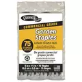 Dalen 75pk 6" Wire Staples in Shelf Display
