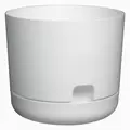 DCN 8" Oasis Self Watering Planter White