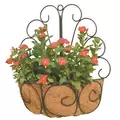 Deer Park Peacock Wall Basket With Coco Liner