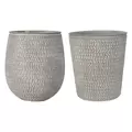 MCarr 36pc Mixed Planter Pallet Taupe