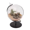 Panacea 4"D Desktop Glass Terrarium Planter With Metal Stand