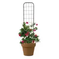 Panacea 48" Rustic Woven Pot Trellis Rust