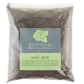 SSI 1 Qt Soil Mix Bag