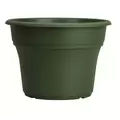 HC 12" Panterra Pot Green Akro Mils