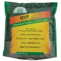 MVP Perennial Ryegrass Mix 8