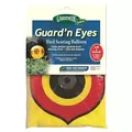 Dalen 2' Diameter Guard'N Eyes Bird Scare Balloon