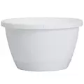 DLN 08.00 TRAD WS HB NO HGR WHT 50/CS 60CS/PL