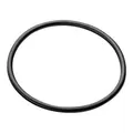 NET O-RING FOR 1" FILTER 25AP531140