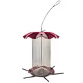 Friends of Flight 11" 3qt Seed Acrylic Feeder Red