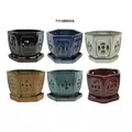MCarr 12PC 5.3" Hexagon Orchid Pot Mixed Asst