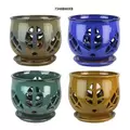 MCarr 8PC 6.5" Tulip Leaf Orchid Pot Mixed Asst