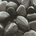 Panacea 2