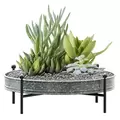 Panacea 16" Succulent Planter Tray Galvanized