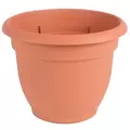 Bloem 10" Ariana with Grid Planter Terra Cotta