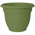 Bloem 10" Ariana with Grid Planter Living Green