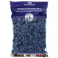 SuperMoss 4oz Reindeer Moss Blue