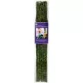 SuperMoss 24" Natural Moss Stakes 6pk
