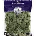 SuperMoss 4oz Reindeer Moss Green
