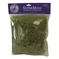 SuperMoss 120cu Bag PR Spanish Moss Grass Green
