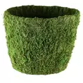 SSI 9" Agatha Planter Green Moss