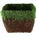 SSI 7-1/2"x7-1/2" Maya Planter Green Moss