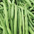 BEANS, BLK PROVIDER 1/2