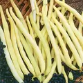 Beans, Pencil Pod Black Wax - 1lb