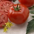 Tomato, Better Boy Untreated - 1,000 Sd Ct