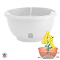 Apollo 12" Eezy Gro Hanging Basket White