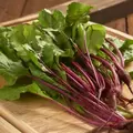 Beets, Bull'S Blood - 1/2lb