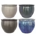 MCarr 32pc Delta Planter Pallet Mixed Colors