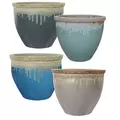 MCarr 24pc Flat Rim Planter Pallet Mixed Colors
