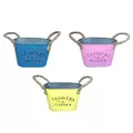 VCS 6" Zinc Colorful Mini Planter