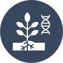 Cloning Machines